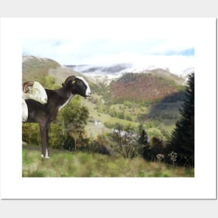 Pyrenees sheep and summer landscape Posters and Art